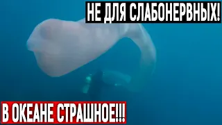 СРОЧНО К ПРОСМОТРУ!!! ТАКОГО НИКОГДА РАНЬШЕ НЕ ВИДЕЛИ!!! (05.07.2020) ДОКУМЕНТАЛЬНЫЙ ФИЛЬМ HD