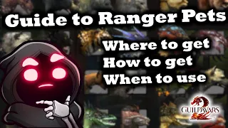 Guide to Ranger Pets - Where to Get, How to Get, and When to Use Them - Guild Wars 2