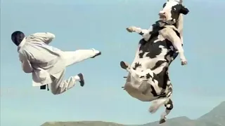 أقوى قتال جنوني وكوميدي😂بين البقرة والرجل المختار/فيلم kung Bow -HD