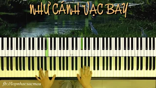 Như Cánh Vạc Bay (Trịnh Công Sơn) | Piano Cover | Soạn cho piano :Linh Nhi
