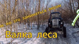 трюлюем лес, валка леса?