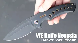 WE Nexusia Titanium Folding Knife 1-Minute Preview | Atlantic Knife