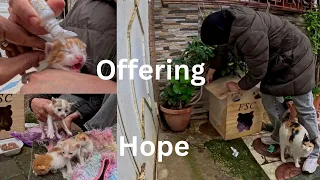 This couple offers hope to stray cats on a rainy day.