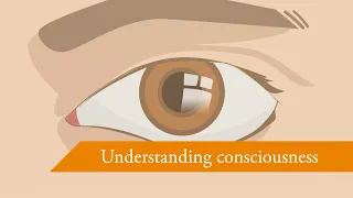 Understanding Consciousness | University of Amsterdam | Brain & Cognition