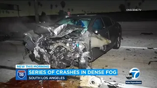 Video captures wild series of crashes on 110 Freeway in SoCal l ABC7