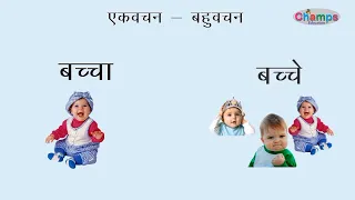 #ekvachan bahuvachan in Hindi | वचन बदलो | हिंदी व्याकरण | एकवचन बहुवचन | Hindi grammer | class Ist