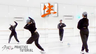 [PRACTICE] Stray Kids - 'Back Door' - Dance Tutorial - SLOWED + MIRRORED