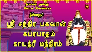 நிம்மதி தரும் வாழ்க்கையை அடைய கேட்க வேண்டிய | ஸ்ரீ சந்திர பகவான் சுப்ரபாதம் | காயத்ரீ | திங்களூர்