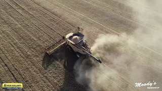 2020 New Holland CR9 90 Combine Demo, Perdue, SK | October 2019