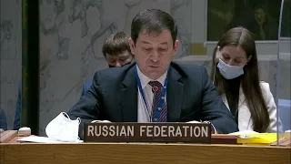 Выступление Д.А.Полянского на заседании СБ ООН по сирийскому химдосье