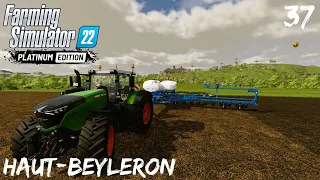 Corn sowing,  Mowing, Feeding Cows | Fs 22 Timelapse Haut-Beyleron