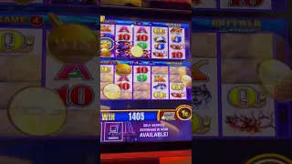 HUGE BUFFALO DELUXE LINE HIT 🎰🎰🐃🐃 I love this slot machine