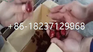automatic cherry and olive kernel corer removing machine date seed pit coring remove machine