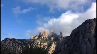 В твоем горе, несчастье, беде