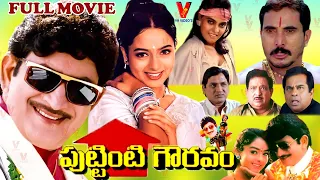 PUTTINTI GOWRAVAM | TELUGU FULL MOVIE | KRISHNA | SOUNDARYA | V9 VIDEOS