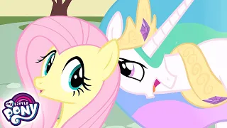 My Little Pony Deutsch 🦄 Celestias Haustier | Freundschaft ist Magie | Ganze Folge | MLP