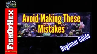 10 Common Mistakes New Saltwater Hobbyist Make