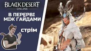 В ПЕРЕРВІ МІЖ ГАЙДАМИ | BLACK DESERT | BDO | БДО