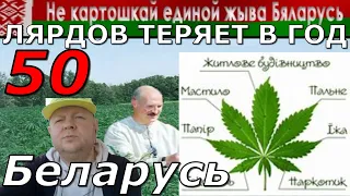 бизнес план по выращиванию конапли в Беларуси ПРОИЗВОДСТВО ЦЕЛЛЮЛОЗЫ: 1 ГА КОНОПЛИ = 5 ГА ЛЕСА