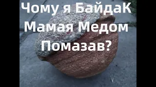 Аз ПА РИк 8 0869 Ілюзія #410 Чому я БайдаК Мамая Помазав Медом?