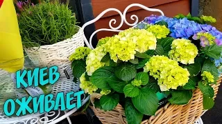 Красивейшие улочки Киева, смотрите на мир по-другому💙💚