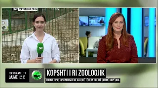 Top Channel/ Kopshti i ri zoologjik, rihapet pas restaurimit me kafshë të reja dhe më shumë hapësira