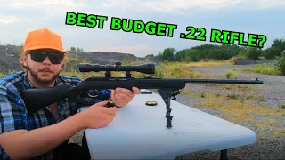 SAVAGE Model 64F 22LR Semi-Auto Rifle REVIEW!!! (BEST Budget Buy!)