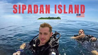 Diving SIPADAN Island, Malaysia with Scuba Junkie