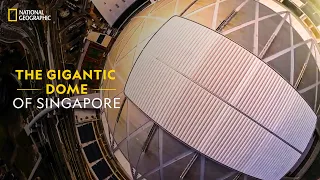 The Gigantic Dome of Singapore | Superstructures: Engineering Marvels | National Geographic