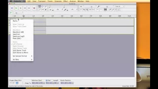 Audacity Tutorial : Multitrack Recording Voice and Guitar at Same Time