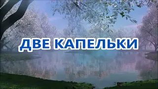 ДВЕ КАПЕЛЬКИ муз.Сергея ШЕВЧЕНКО сл.Тамары ИВАНОВОЙ исп.Сергей ШЕВЧЕНКО