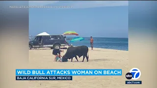 Bull charges woman on beach in Baja California Sur, Mexico