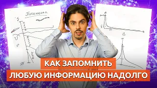 Как быстро запоминать информацию надолго / Потенциал нейронных связей