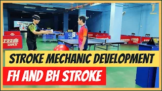Stroke mechanic development Part 2 - Forehand and Backhand Stroke