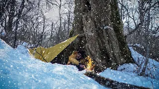SOLO Two Days WINTER BUSHCRAFT Camp | Survival Shelter