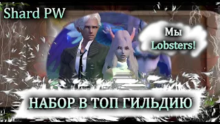 Открыт набор в ТОП ГИ Lobsters, Первое БД, ПРОВАЛ или же ТОПна Shard PW.  8ой день открытия! PW PvP