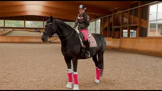 Unlocking The Secrets of Engaging Your Horse's Back & Hind Leg