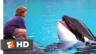 Free Willy (1993) - Willy's Soulmate Scene (4/10) | Movieclips