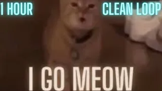 I Go Meow Cat Song  - 1 HOUR Clean Loop