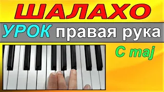 Шалахо~УРОК НАЧИНАЮЩИМ~Правая рука~скачать стиль 6/8 для KORG Pa~Shalaxo C major