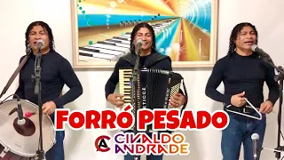 FORRÓ PESADO - Trio Nordestino (Os Civaldos)