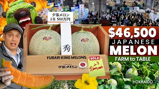 How Japanese Melons become Luxury Fruits | Yubari King Melon Story ★ ONLY in JAPAN