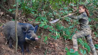 Detect wild boar tracks, quickly create traps to catch, wild boar skills, survival alone