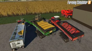 $33 Million MEGA Farm | Sunflowers, Corn | #12 | Pacific NorthWest | FS19 | Farming Simulator 19