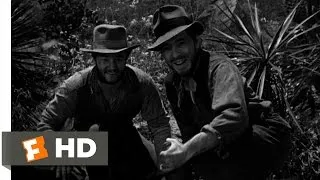 The Treasure of the Sierra Madre (2/10) Movie CLIP - Fool's Gold (1948) HD