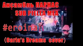 Ансамбль PARNAS - SUB PIELEA MEA #eroina  Carla's Dreams cover
