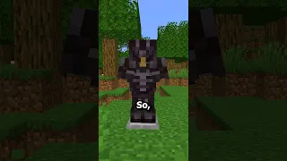 The RAREST Minecraft Armor...