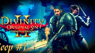 Начало путешествия | Divinity Original Sin 2  DE прохождение кооператив стрим #1 18+