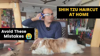 Shih Tzu Hair Cutting at Home | Easy and Right Way for Shih Tzu Grooming | Baadal Bhandaari