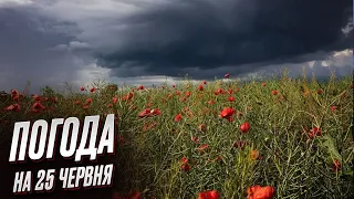 🌈 Погода на 25 червня: якою буде погода в неділю